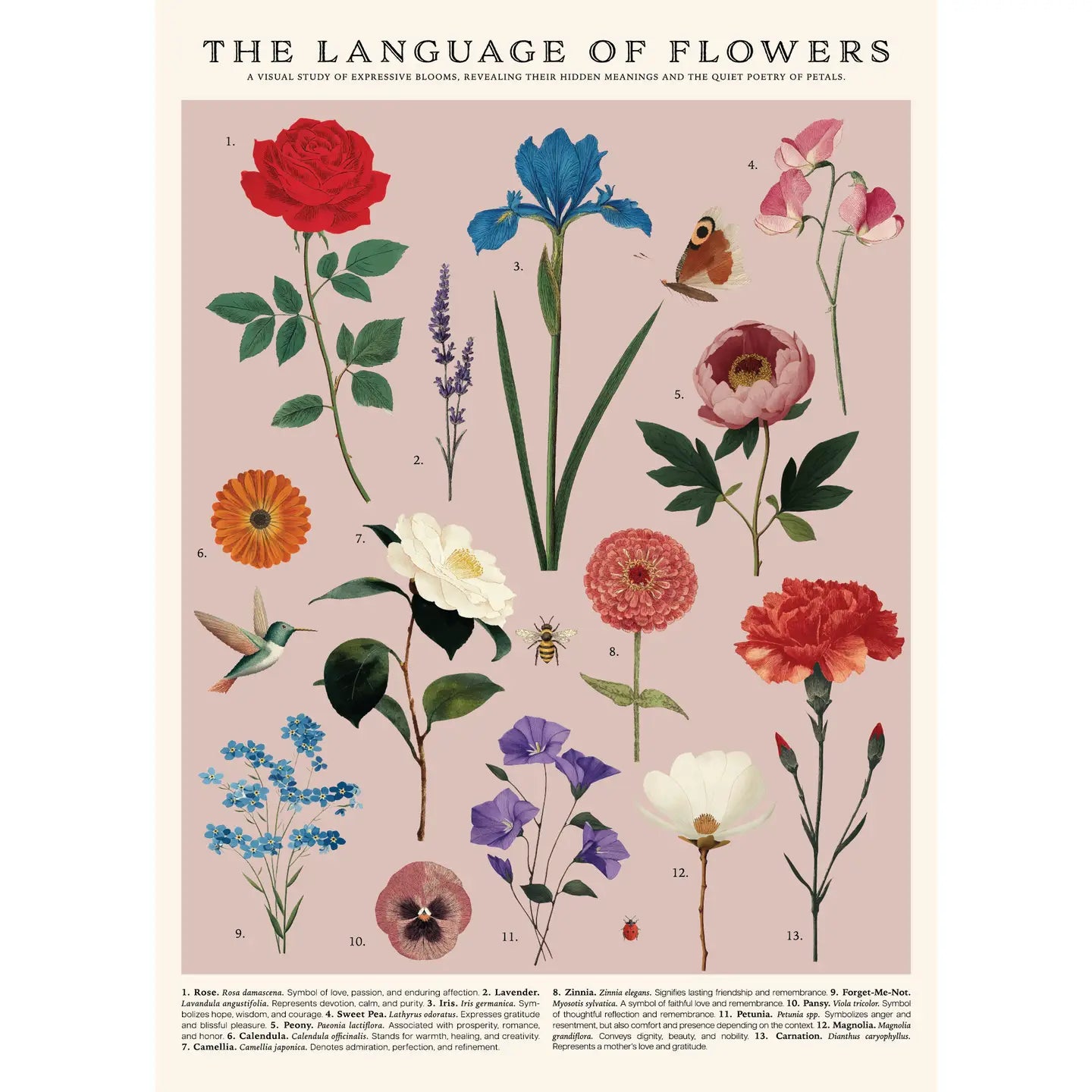 Vintage Posters Wrapping Paper - Language of Flowers
