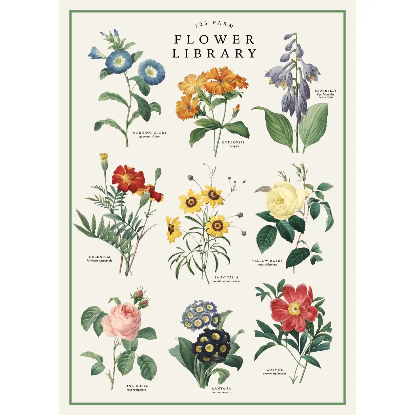 Vintage Posters Wrapping Paper - Flower Library