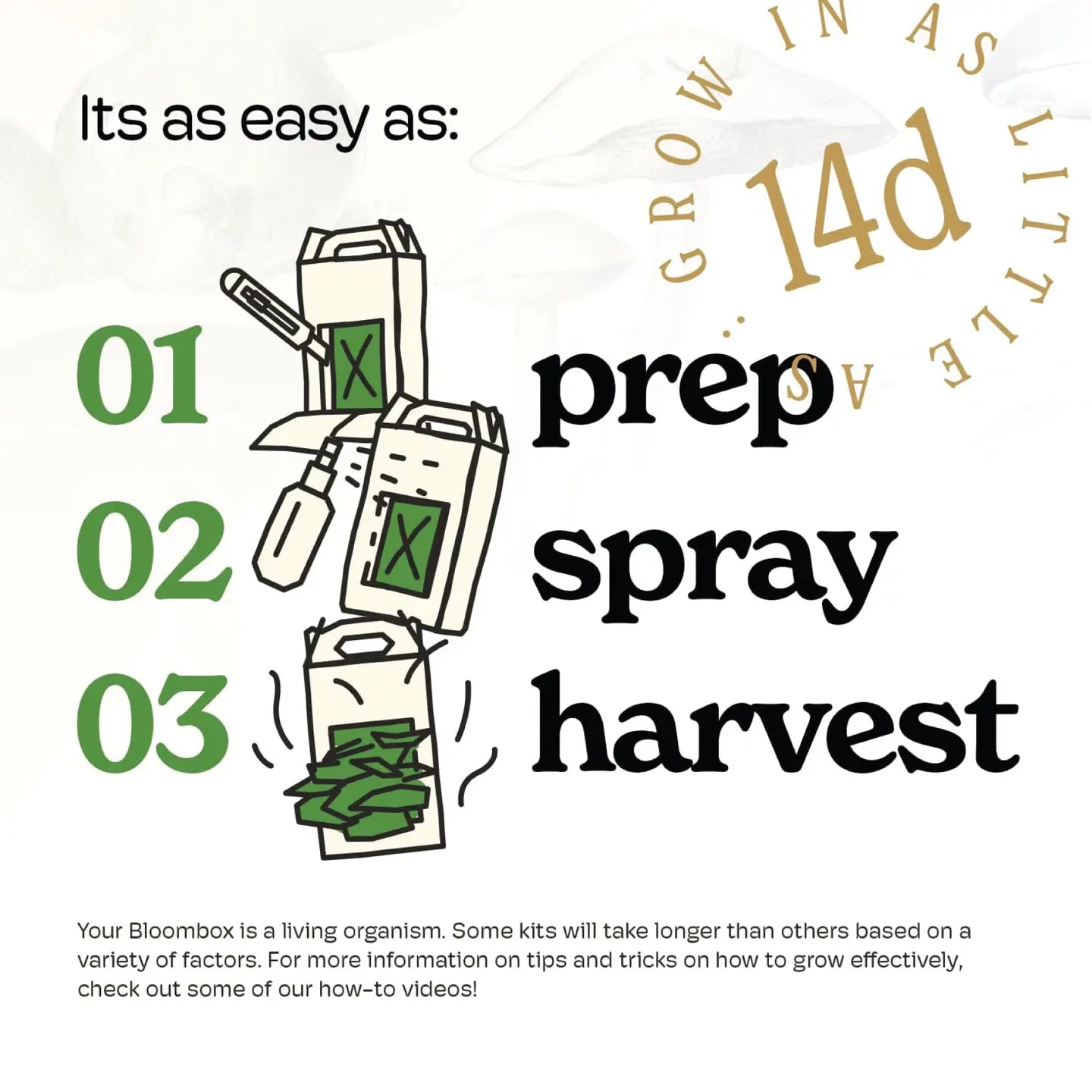 Lion’S Mane Mushroom Grow Kit | Diy Indoor Garden |