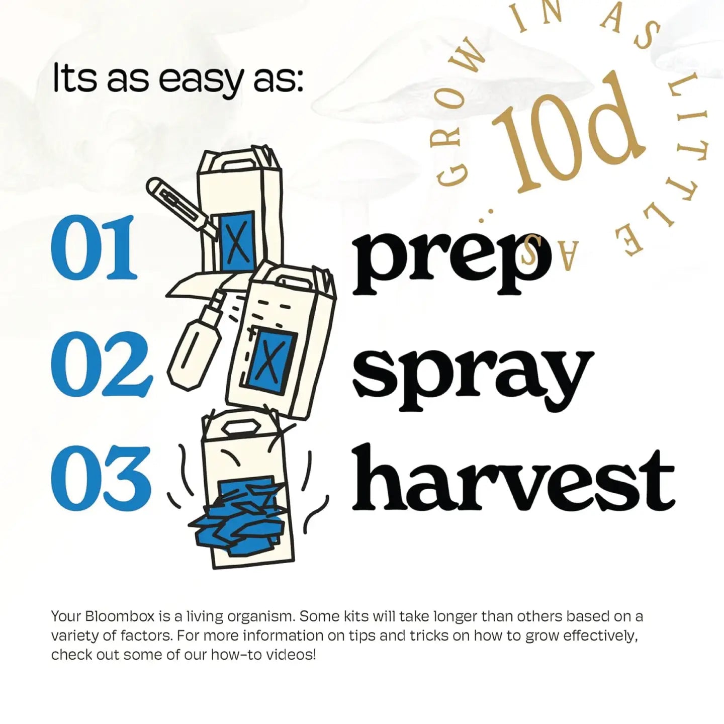 Blue Oyster Mushroom Grow Kit |