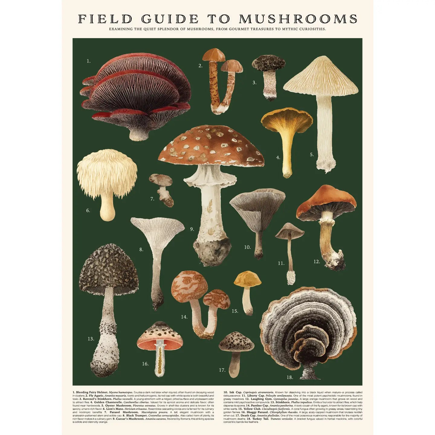 Vintage Posters Wrapping Paper - Mushrooms