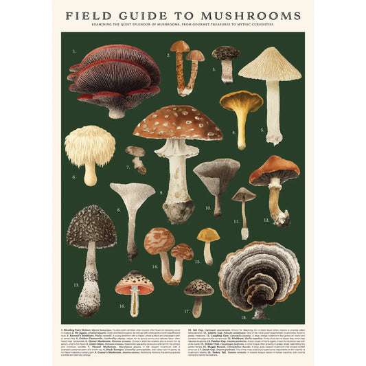 Vintage Posters Wrapping Paper - Mushrooms