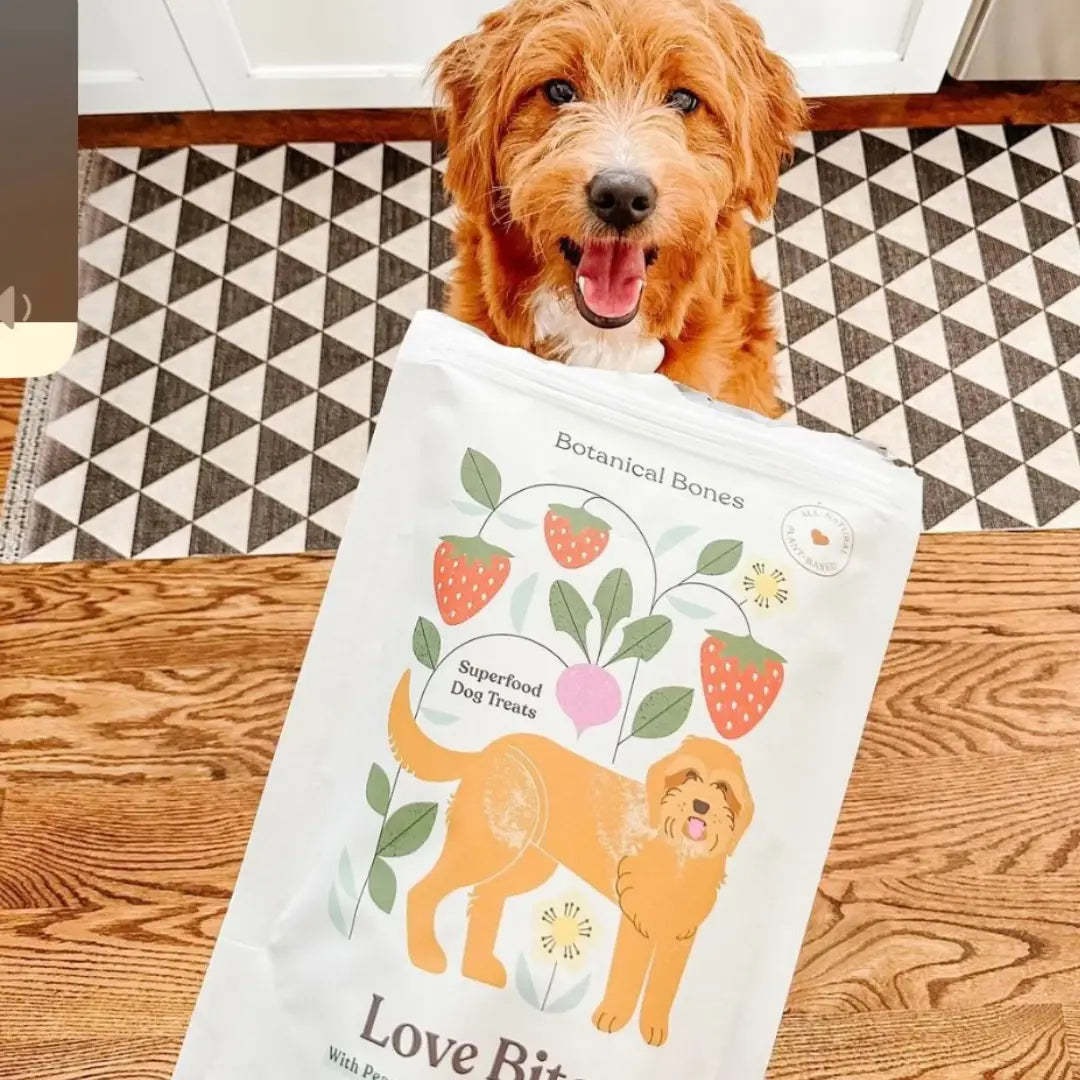 Love Bites - Dog Treats | Organic | Valentine's Day
