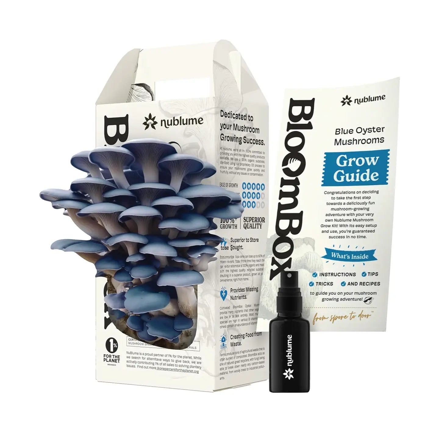 Blue Oyster Mushroom Grow Kit |