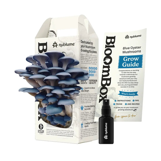 Blue Oyster Mushroom Grow Kit |