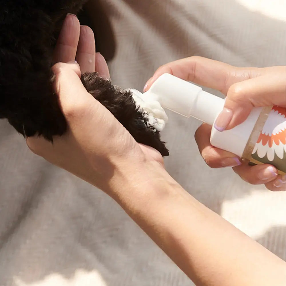 Refill - Clean Paws No-Rinse Foaming Cleanser