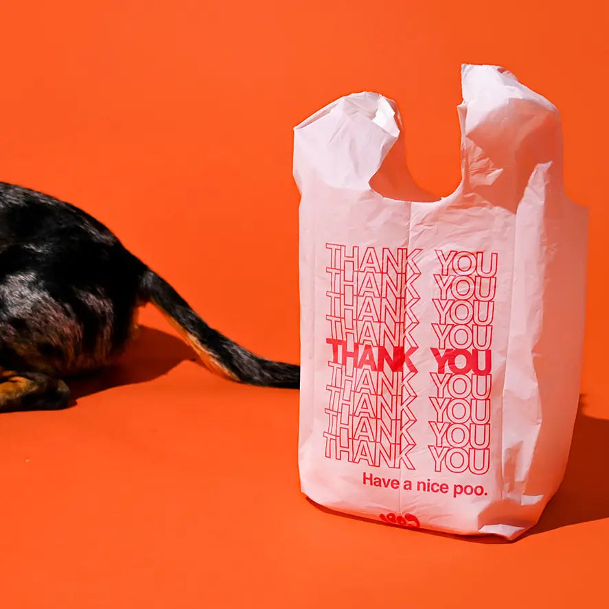 The Thank You Bag