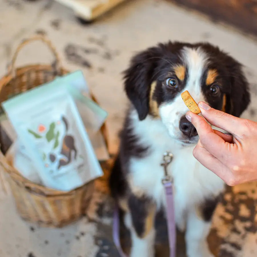 Balance + Calm Cookies - All Natural, Organic Dog Treats