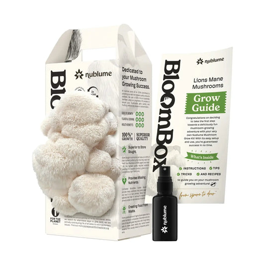 Lion’S Mane Mushroom Grow Kit | Diy Indoor Garden |